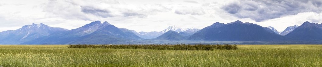 land-conservation banner